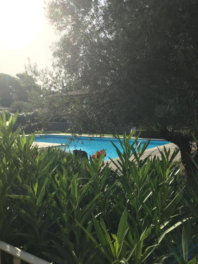 דירות פורטו-וישיו Appt T2 Standing Avec Piscine Et Terrasse מראה חיצוני תמונה
